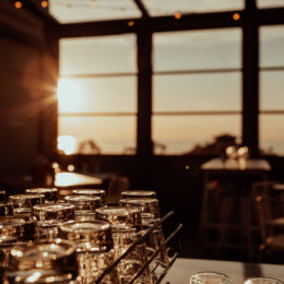 3G3A2477-hi_res-square_crop